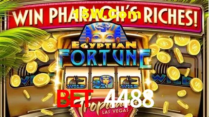 Experiência VIP Bet 4488